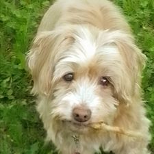 Profile image of Manuela7435