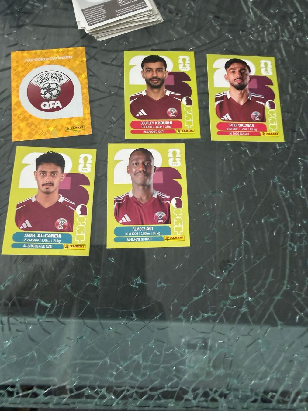Panini Carte collezionabili: WM 2026 - Panini - Qatar – Usato da Pfäffikon ZH venduto da Marcodesi76