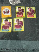 WM 2026 - Panini - Qatar