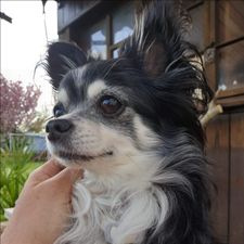Profile image of Claudionaef