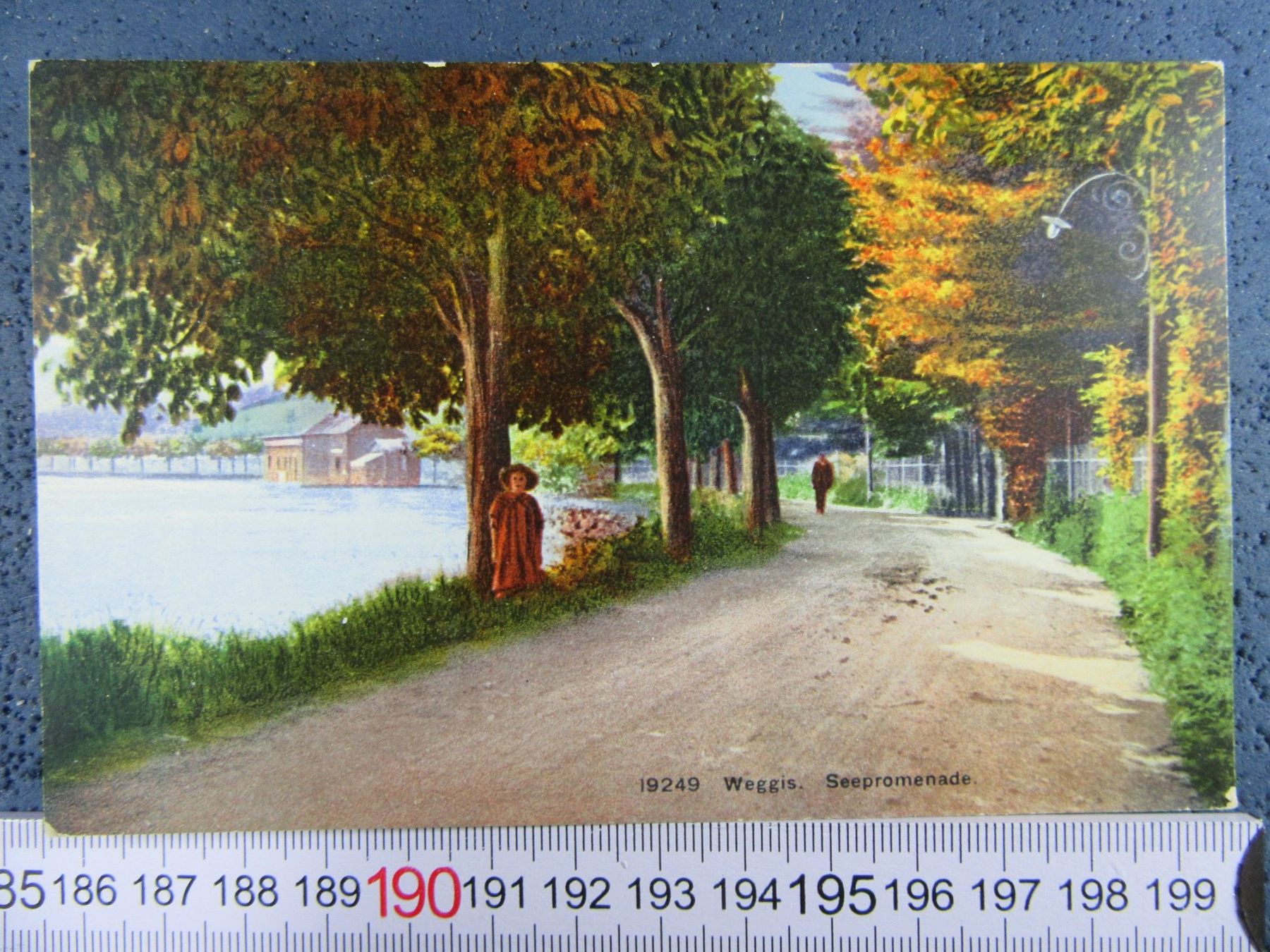 Cartoline postali: WEGGIS SEEPROMENADE BELEBT – Usato da Ettingen venduto da Hausi4711