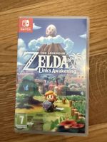 The Legend of Zelda Link's Awakening Switch Spiel