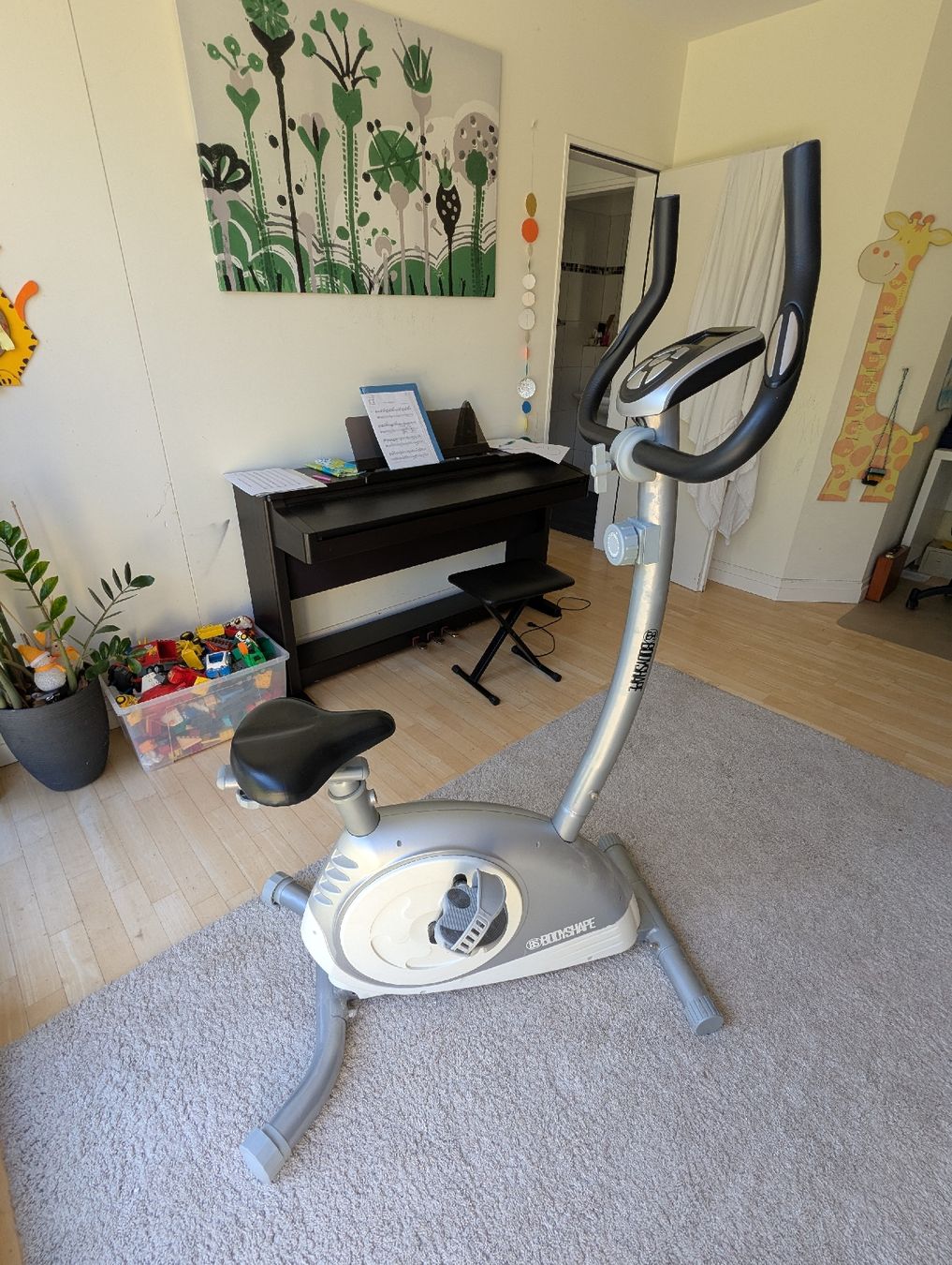 Bodyshape Hometrainer: BodyShape Heimtrainer, wenig gebraucht – Usato da Baden venduto da vongillus 1