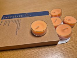 Partylite Teelichter Pfingstrose 12 Stk.