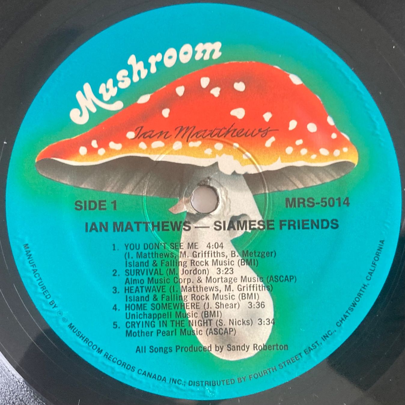 Dischi in vinile: IAN MATTHEWS - SIAMESE FRIENDS – Usato da Poliez-Pittet venduto da Newtown-Records 3