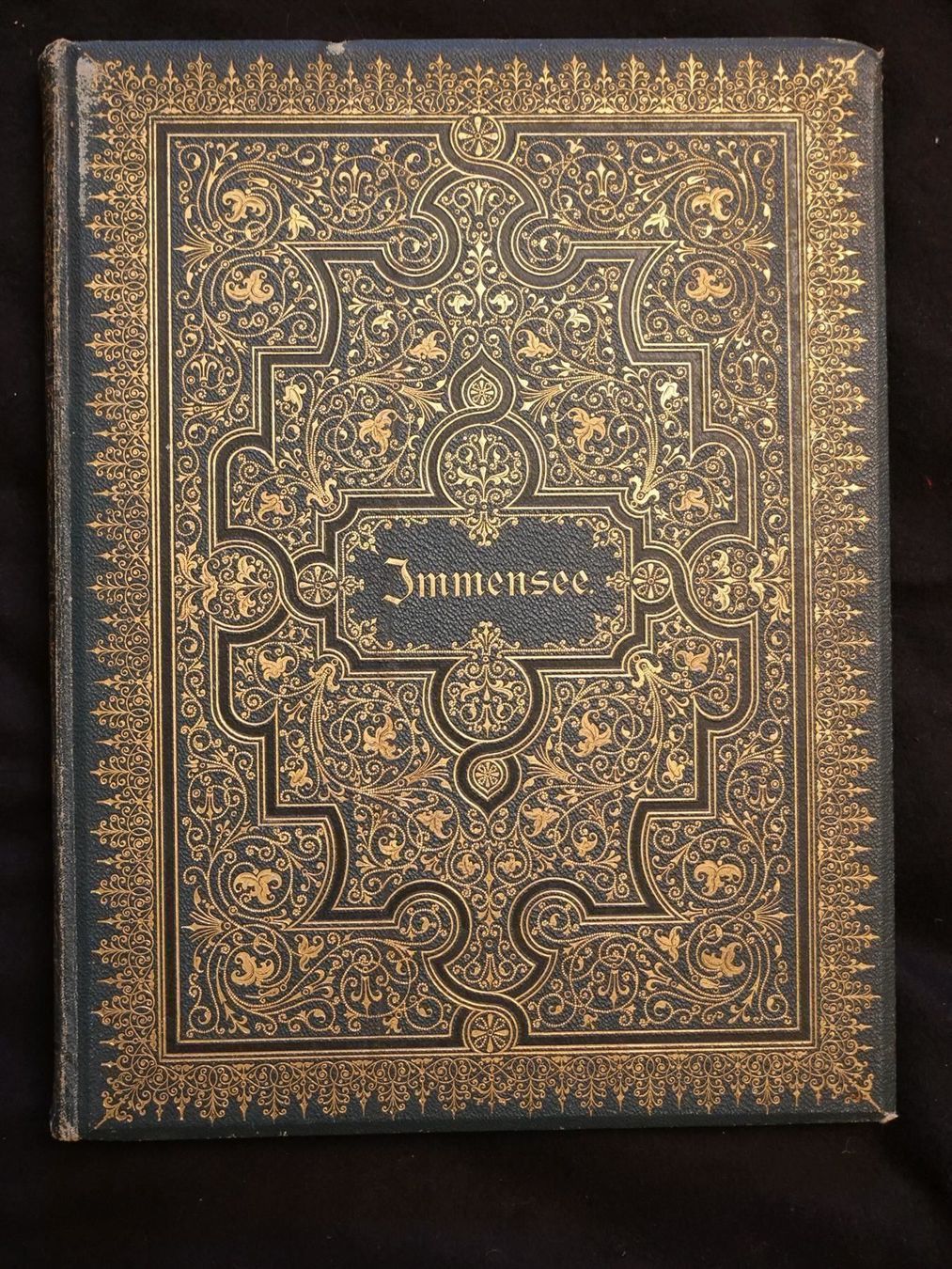 Libri: Immensee Theodor Storm 1887 – Usato da Gutenswil venduto da Optico 1