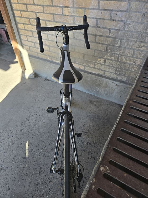 Giant Velos: Rennvelo Giant Defy 1, Top Zustand, wenig gefahren! – Gebraucht aus Aarberg von 2002stefan 7