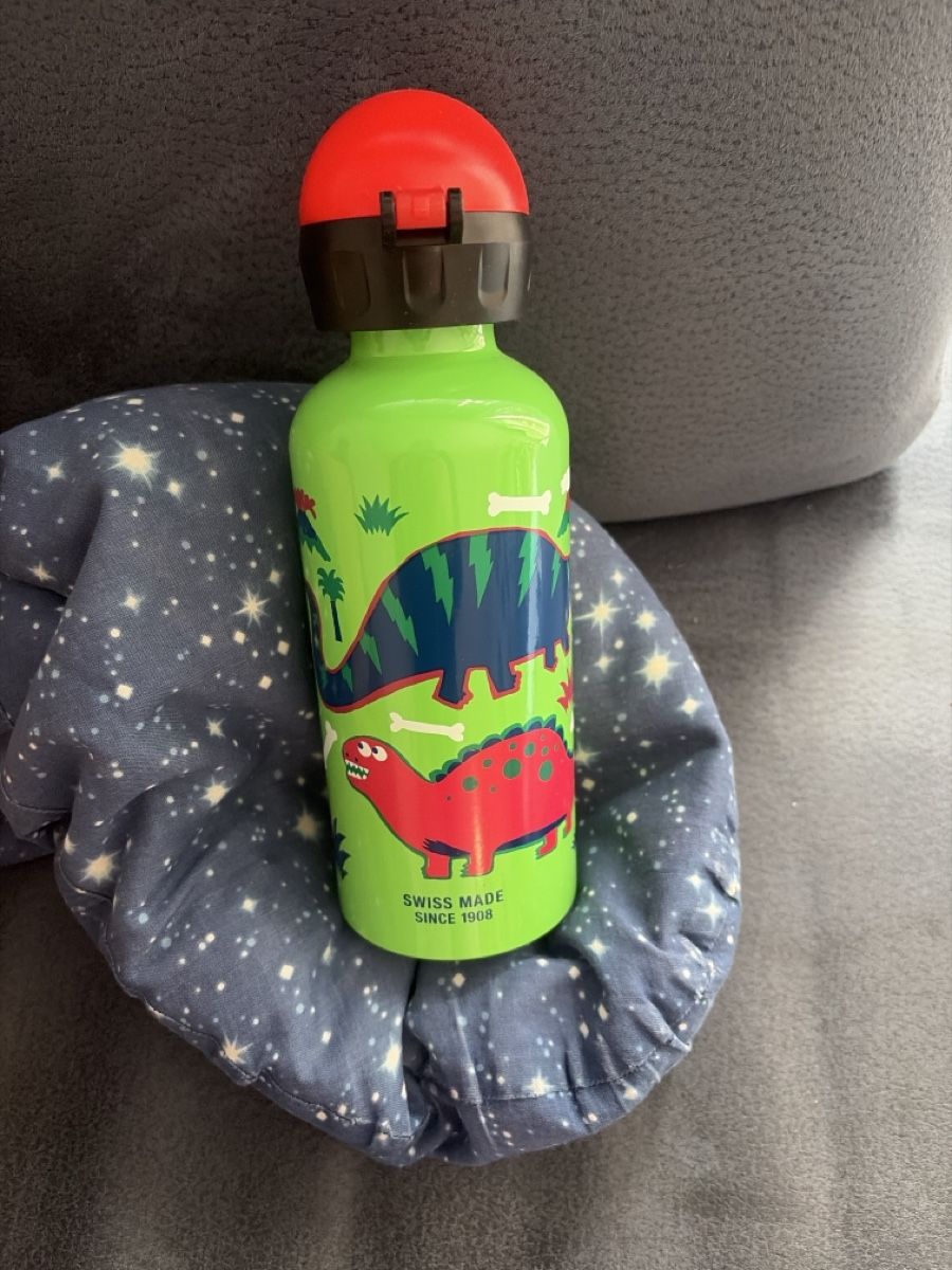 Sigg Borracce & Thermos: Sigg Flasche Dino Neu – Nuovo (secondo la descrizione) da Embrach venduto da Yeasy 2