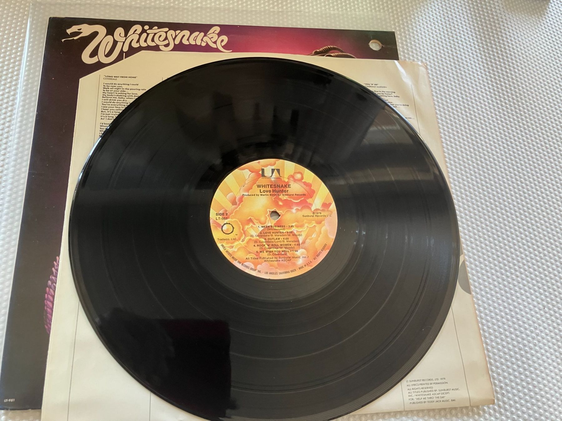 Dischi in vinile: Whitesnake – Usato da Aarwangen venduto da Jukebox3 8