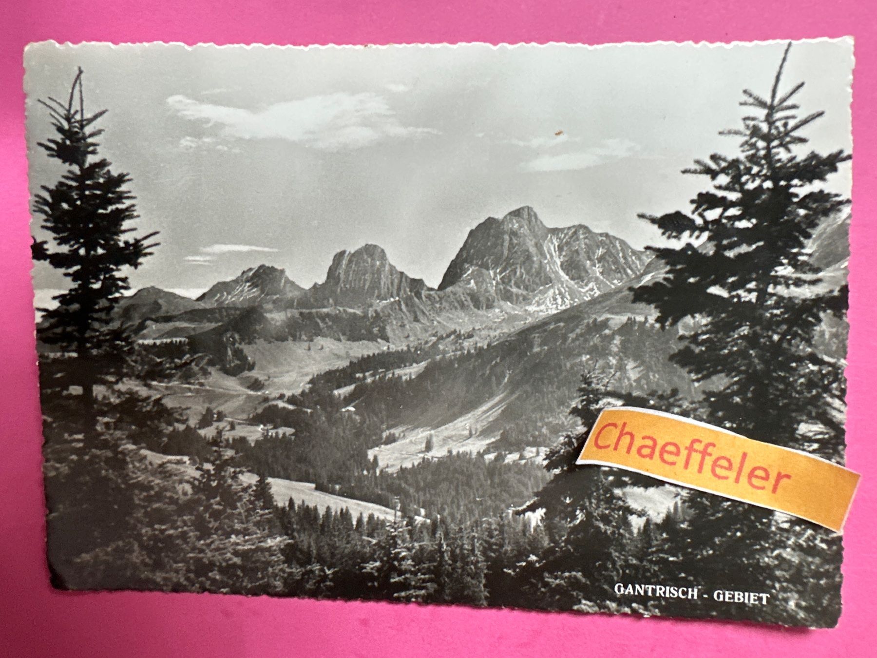 Cartoline postali: 1951 Gantrisch - Gebiet – Usato da Zürich venduto da Chaeffeler