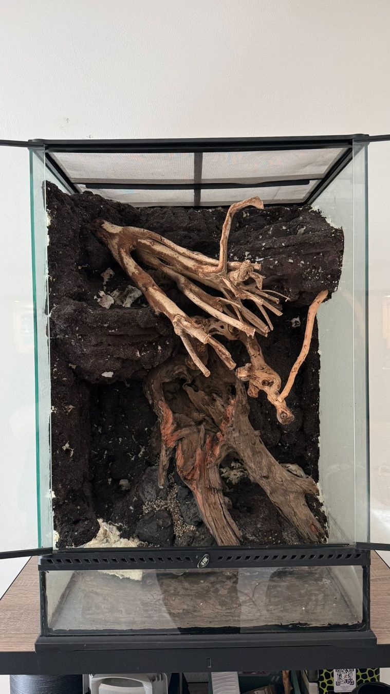 terrarium-exo-terra-60-x-45-x-90-cm-avec-fond-d-coratif-d-occasion