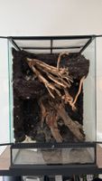 Terrarium Exo Terra 60 x 45 x 90 cm avec fond décoratif!