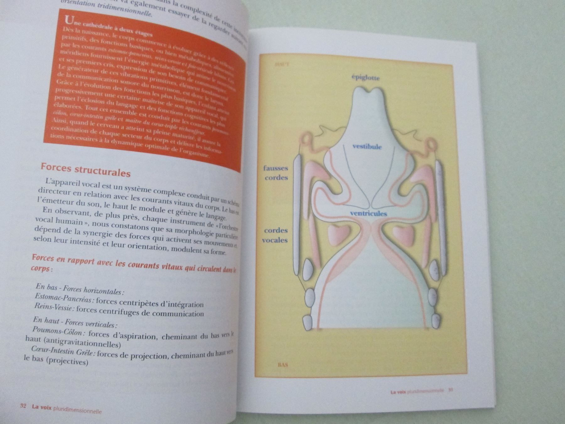 Libri: La voix pluridimensionnelle – Usato da Neuchâtel venduto da Dualseele 4
