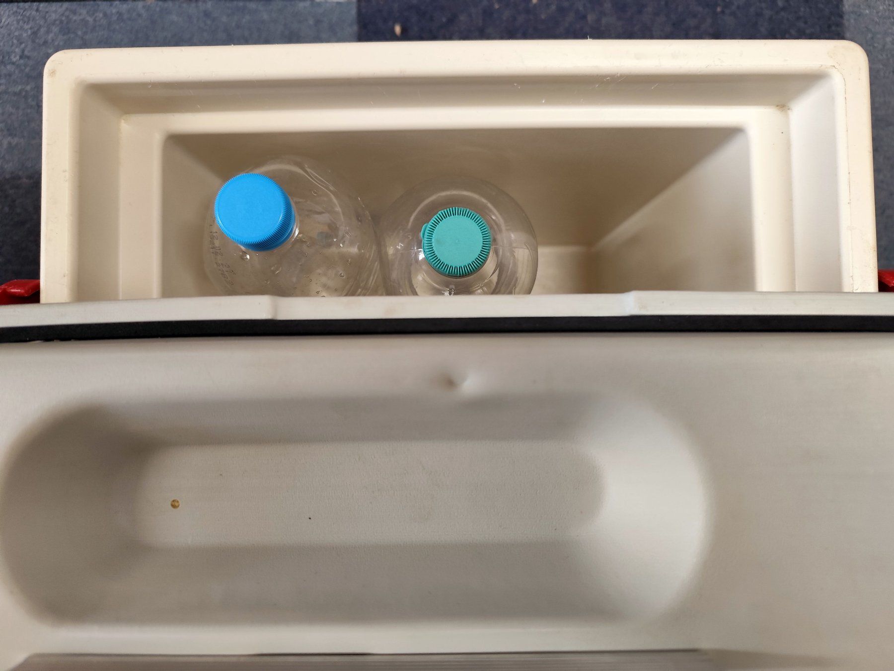 Coleman Frigoriferi & Refrigeratori: Kühlbox 12 V Coleman – Usato da Oberwil BL venduto da NTS-TopShop 4