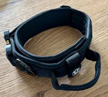 Neues Hetzhalsband Charlotte's Choice