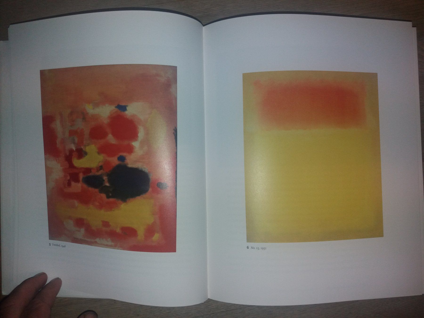 Bücher: Mark Rothko  dramaturg der form kunstklassiker – Gebraucht aus Welschenrohr von Regool 5