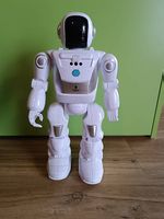 Roboter ferngesteuert 