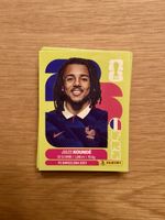 105 Panini Sticker, WM 2026, keine Doppelten!