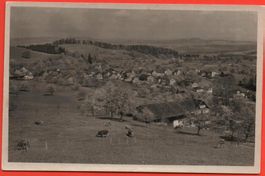 WOLFERTSWIL bei Degersheim, Bauernhaus, Kühe