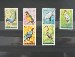 Royome du Burundi Vögel 1971  ** (4376)