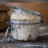 Aktiver Sauerteig Anstellgut Dinkel, Roggen oder Weizen