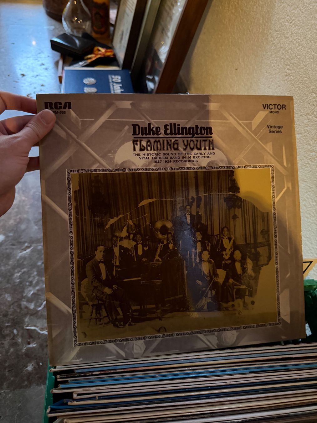 Dischi in vinile: Grosse Schallplattensammlung – Usato da Luzern venduto da jd111111 2