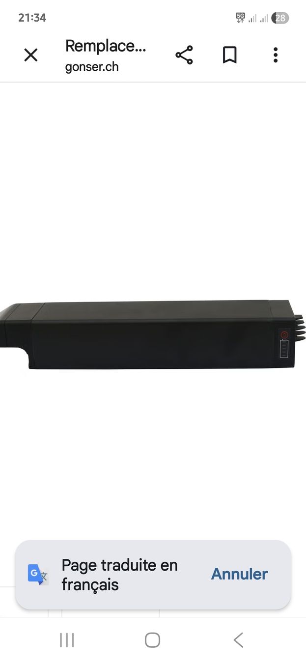 Batterie: batterie vélo rockrider – Nuovo (secondo la descrizione) da Saillon venduto da chanpion