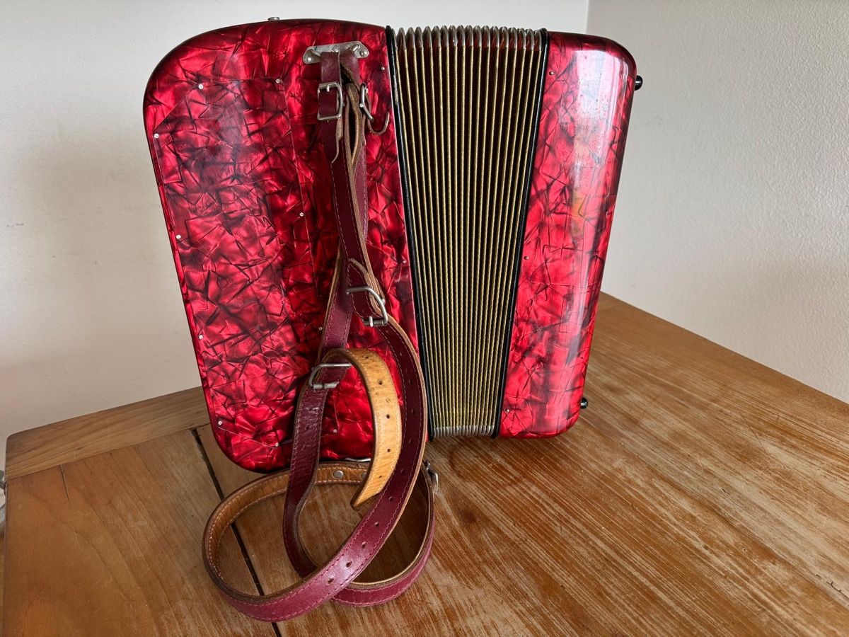 Hohner Strumenti musicali: Hohner Riviera II Akkordeon – Usato da Meilen venduto da Liebling_sachen 2