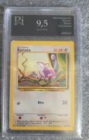 Pokémon Rattata