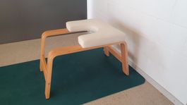Original FeetUp Trainer