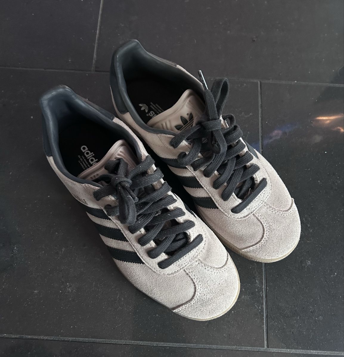 Adidas Scarpe da uomo: Adidas Gazelle – Usato da Rüegsau venduto da Stalderclaudia