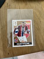 Panini Erling Haaland Extra Sticker BRONZE