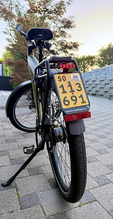 Biciclette: Riese & Müller Supercharger GT rohloff HS – Usato da Basel venduto da in4sell 3