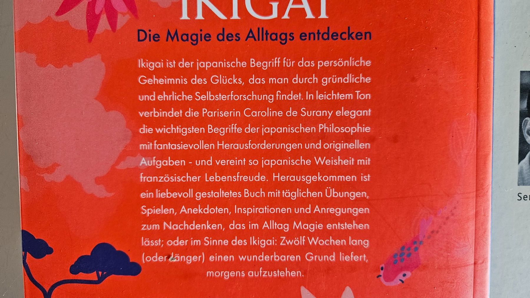 Libri: Thema Selbstfindung Kombo – Usato da Basel venduto da True_Hofer_Store 1
