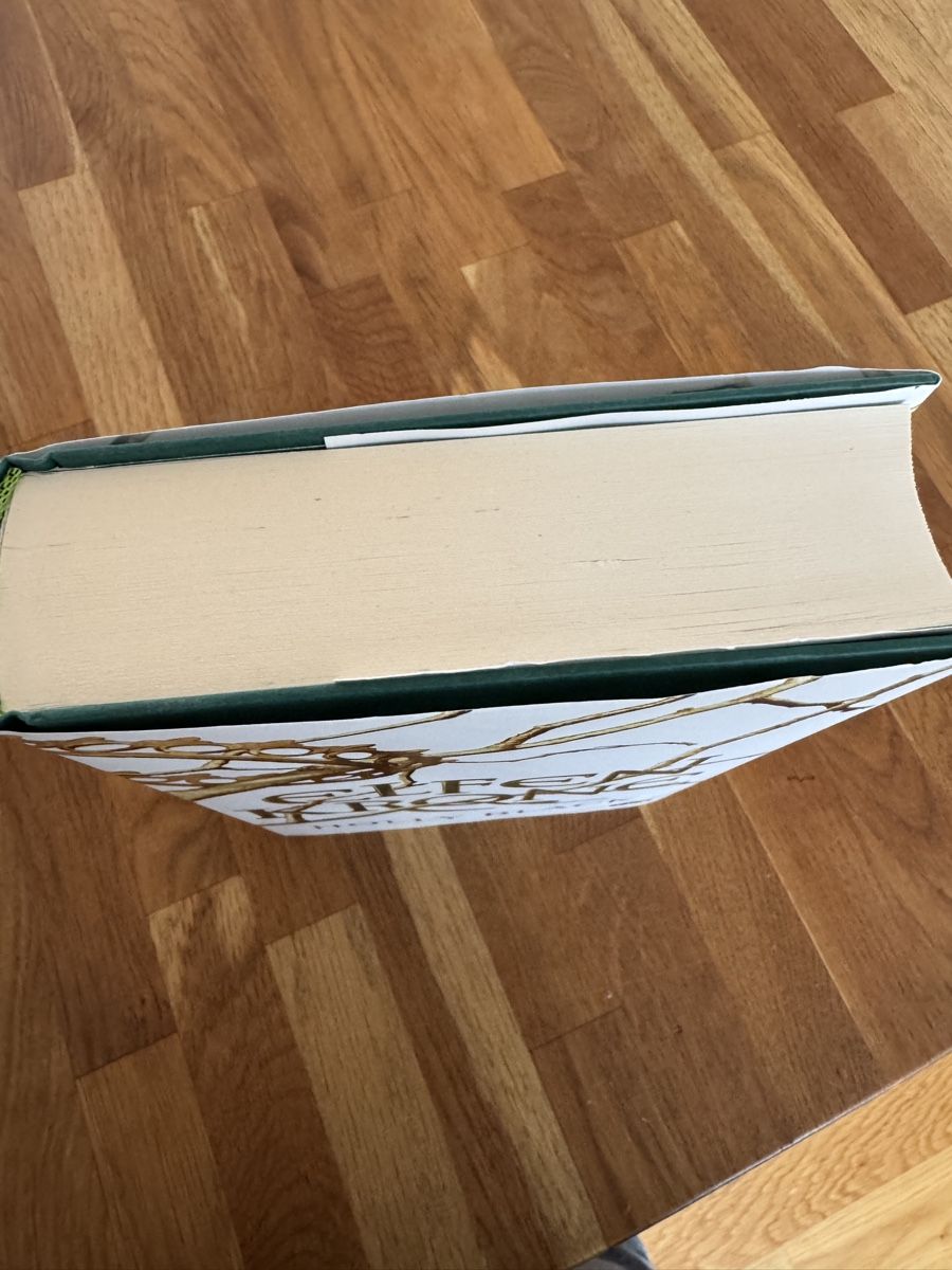 Livres:  Elfenkrone  – D'occasion à Zürich par Naniiin 2