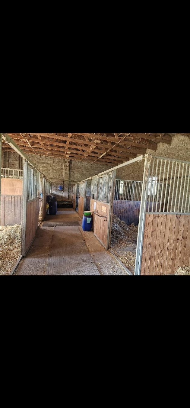 Servizi & Riparazioni: Pension boxe / pré (auto/semi-gestion possible) – Usato da Villaz-St-Pierre venduto da Rubytys 1