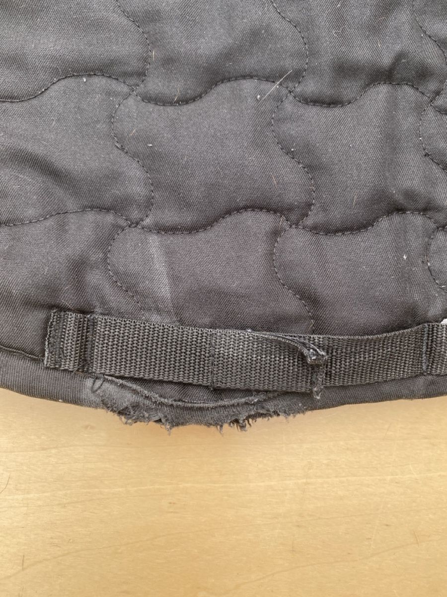Felix Bühler Coperte: Dressurschabracke schwarz – Usato da Schenkon venduto da ami_8cbt 1