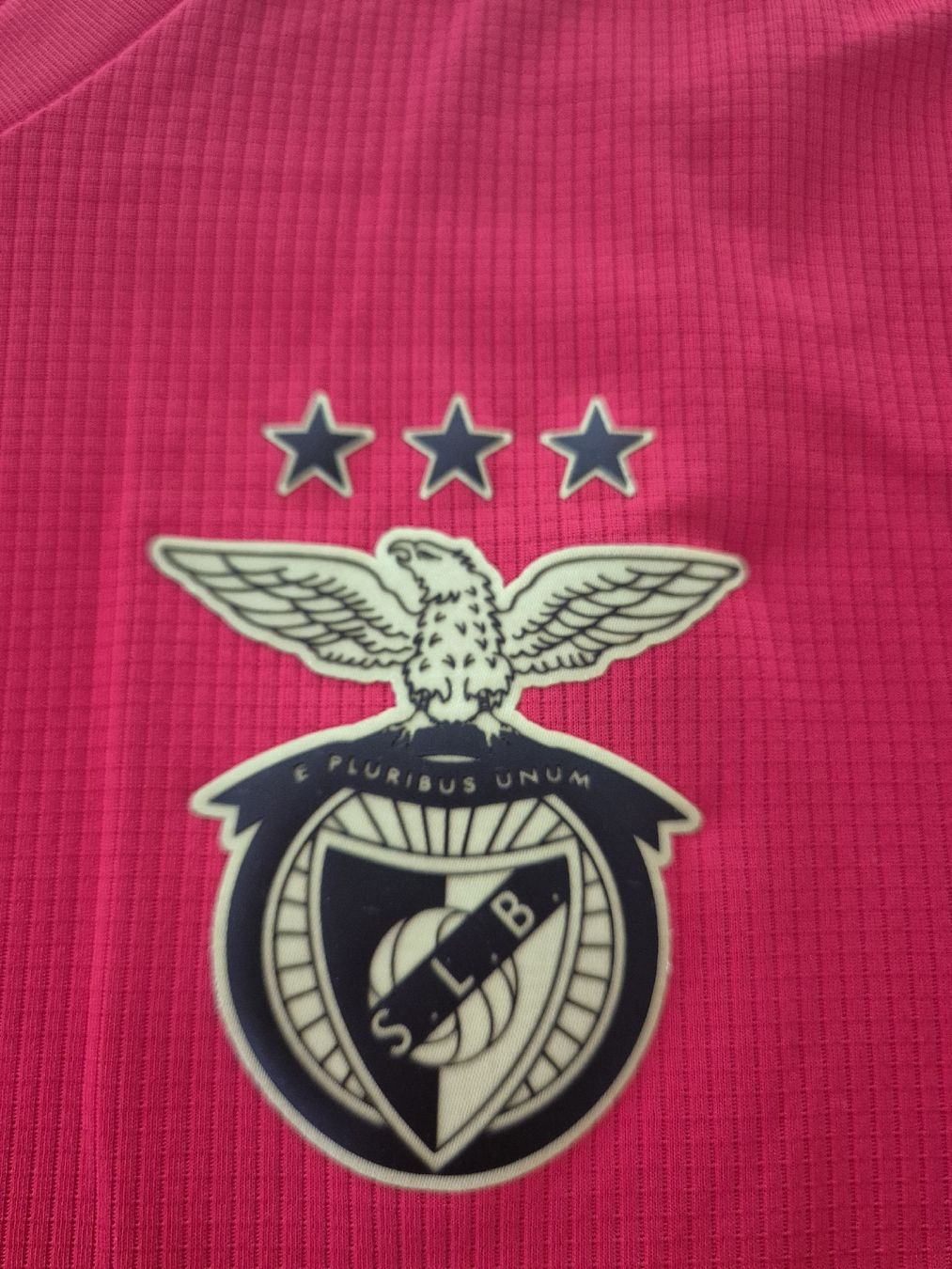 Canottiere & Pantaloni: Benfica Lissabon Trikot 2020/21 – Usato da Landquart venduto da Atlanta1313 2