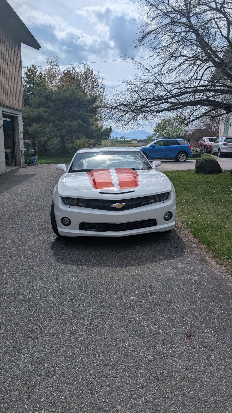Chevrolet Automobili: Chevrolet Camaro SS – Usato da Echichens venduto da pie_wtl5