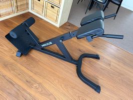 Maxxus Hyperextension Rückentrainer