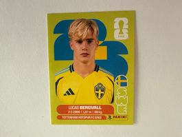 Bergvall SWE8 - Panini CH Edition WM 2026