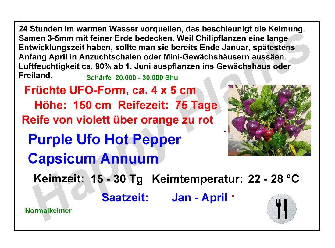 Pflanzen & Samen: Purple Ufo Hot Pepper - Capsicum Annuum - 10 Samen – Neu und originalverpackt aus Sumiswald von Cham14559 3