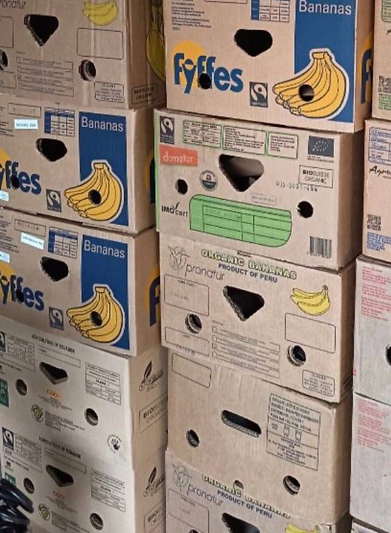 Cartoni: 10 Bananenschachteln  – Usato da Münchenstein venduto da Scramchi