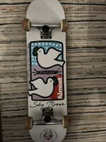 Fast Almost Skateboard Sky Brown Edition - Top Zustand!