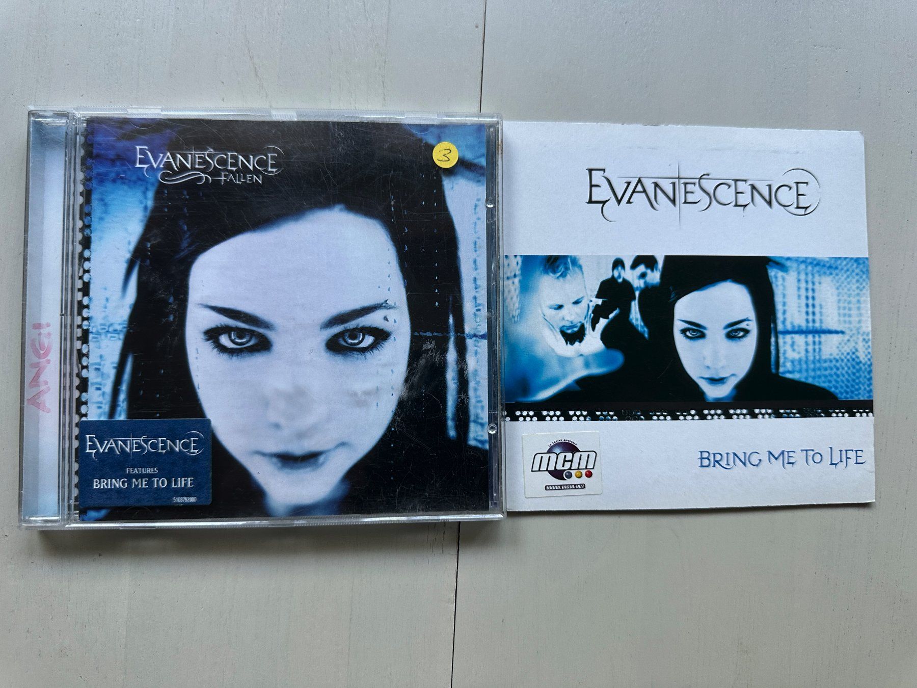 CD: EVANESCENCE tolle CD Fallen + Maxi Kult Metal Alternative Nu – Usato da Basel venduto da Partridge
