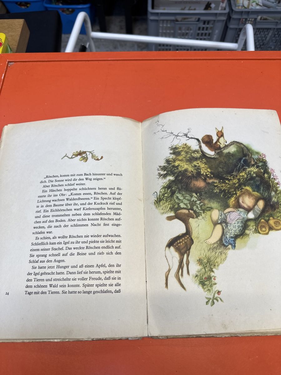 Libri: Röschen und Winterhexe – Usato da Frümsen venduto da Katzen0 3