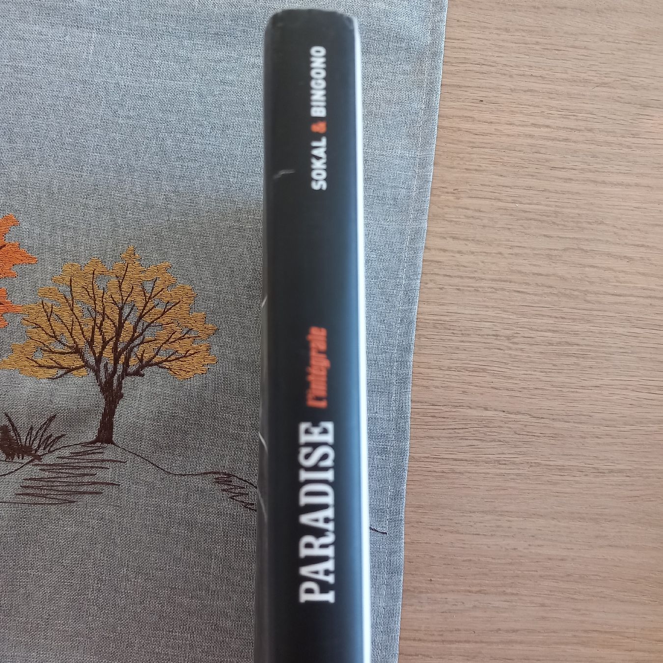 Fumetti: lot bds 10x Gratuit poste – Nuovo (secondo la descrizione) da Courroux venduto da maitrec 3