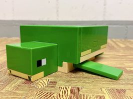 Minecraft Schildkröte