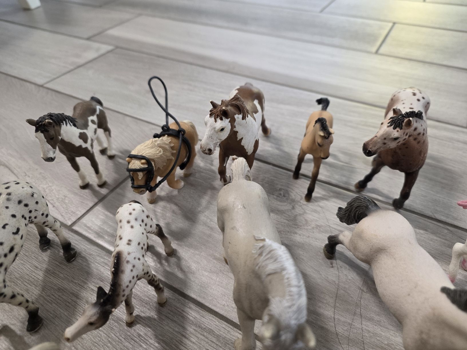 Schleich Statuette: Schleich Pferde Set  – Usato da Dorf venduto da Echo_Elements 2