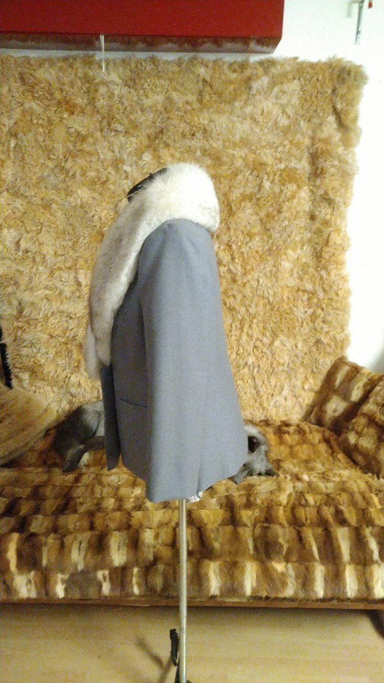 Giacche: Blazer mit Blaufuchs Pelz – Usato da Obergösgen venduto da crystalfox 4